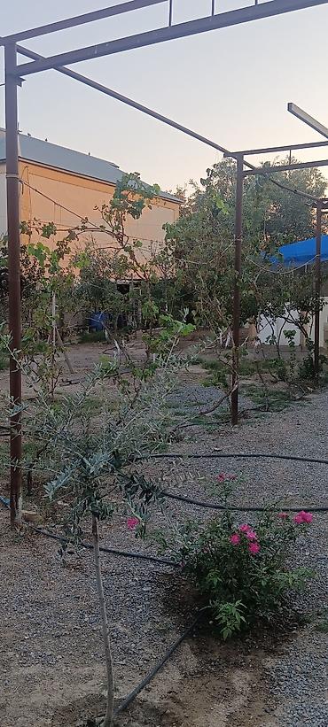 Bağ evlərinin satışı: Bakı, Qobustan qəs., 40 kv. m, 2 otaqlı, Hovuzsuz, İşıq — 1