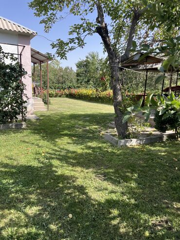 Продажа домов: Дача, 10 м², 6 комнат, Собственник, Старый ремонт — 2