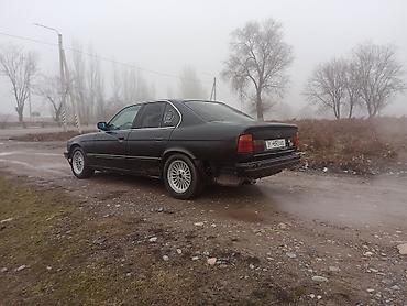 BMW: BMW 5 series: 1991 г., 2 л, Механика, Бензин, Седан — 11