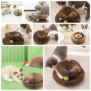 Зоотовары: ПРОДАЮ СУПЕР ПРОЧНЫЙ МЯЧЬ ДЛЯ СОБАК,А ТАК ЖЕ — 23