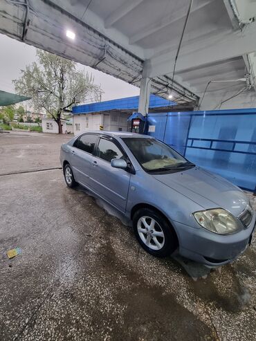 двухсотка машина: Toyota Corolla: 2002 г., 1.6 л, Автомат, Бензин