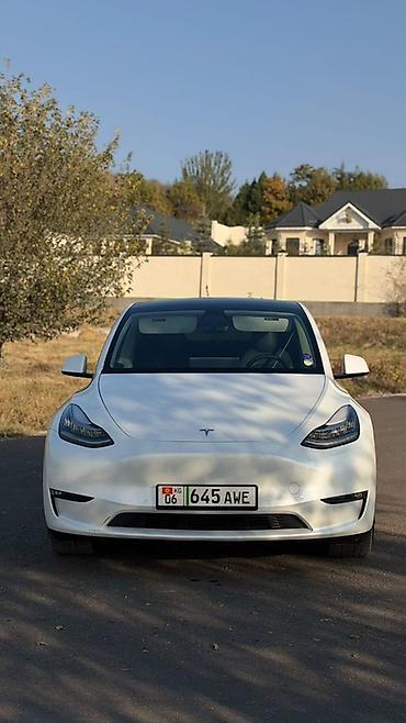 byd song max: Tesla Model Y: 2022 г., Электромобиль, Кроссовер — 7