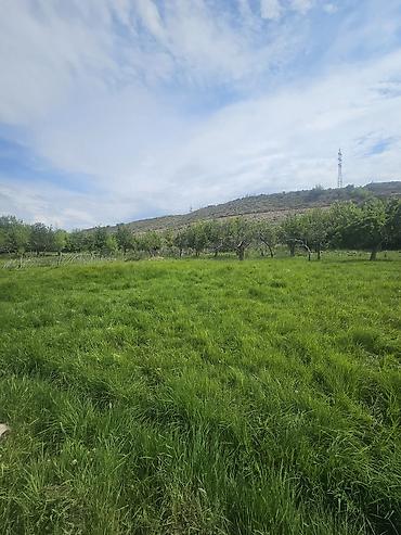 Продажа участков: 31 соток, Для бизнеса, Тех паспорт, Договор купли-продажи — 25