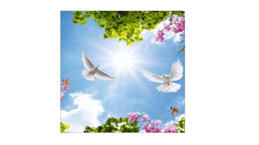 Натяжной потолок: Натяжной потолок 3D потолки, Глянцевое, Матовое Монтаж, Гарантия, Демонтаж — 3