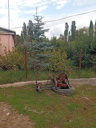 трактора китай: Беларус (МТЗ) — универсальный колесный трактор с набором навесного — 5