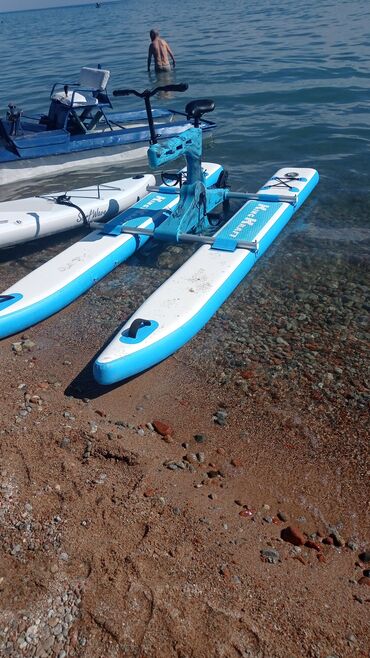 водные катамараны: Водный транспорт