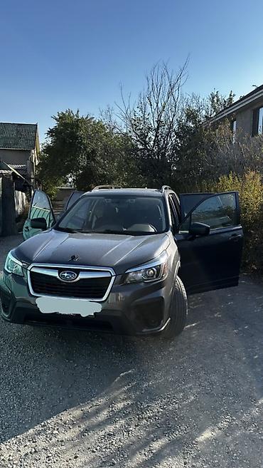subar: Subaru Forester: 2021 г., 2.5 л, Автомат, Бензин, Кроссовер — 5