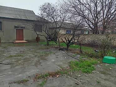 Həyət evləri və villaların satışı: 3 otaqlı, 5 kv. m, Orta təmir — 6