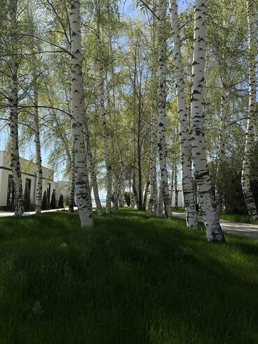 Иссык-Куль 2025: Коттедж, котедж ЦО Атлантис, Сары-Ой, Детская площадка, Закрытый пляж, Охраняемая территория — 31