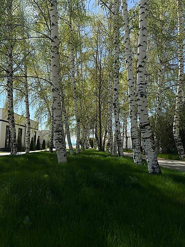 Иссык-Куль 2026: Коттедж, котедж ЦО Атлантис, Сары-Ой, Баскетбольная площадка, Бассейн, Детская площадка — 13