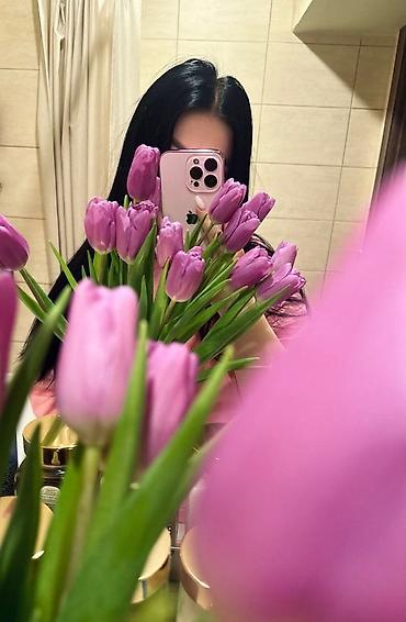 iphone 7 pro: IPhone 14 Pro, Çəhrayı, Face ID — 1