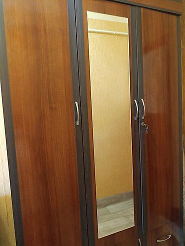 Dolablar: Güzgülü paltar şkafı - Material: MDP/MDF ağac teksturası, tünd — 1