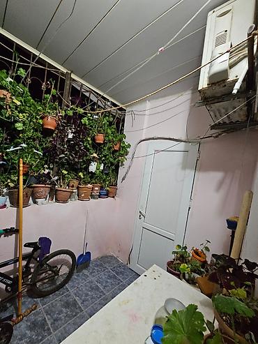 Köhnə tikili: Bakı, 3 otaqlı, Köhnə tikili, 70 kv. m -da lalafo.az — 9 Köhnə tikili: Bakı, 3 otaqlı, Köhnə tikili, 70 kv. m — 9