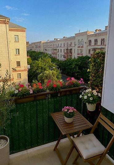1 комнатная студия: Баку, 2 комнаты, Вторичка, м. Нариман Нариманов, 42 м² — 9