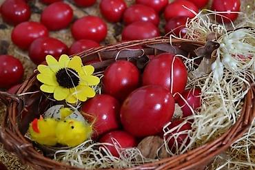 Praznična dekoracija: Boje za uskršnja jaja – Paleta 7 🪺MAKEDONSKE BOJE ZA JAJA "Paleta 7"🪺 — 10