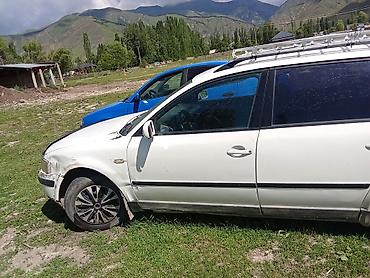 степвагон панель: Volkswagen Passat Variant: 1995 г., 1.6 л, Кол менен иштөөчү, Бензин, Универсал — 2