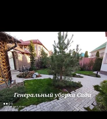 ниже: Мусор заберем с собой 🌿 Покос травы и уборка территории в Бишкеке! 🌿 — 2