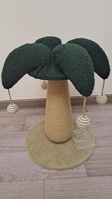 Зоотовары: Зоотовары. животные. Переноска номер 3размер 66.47.46 контейнер для at lalafo.kg — 12 Зоотовары: Зоотовары. животные. Переноска номер 3размер 66.47.46 контейнер для — 12