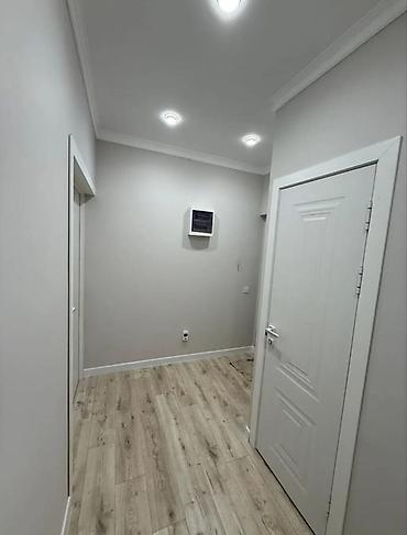 жк фламинго: 1 комната, 45 м², Киргизия 1 Элитка, 3 этаж, Дизайнерский ремонт — 3