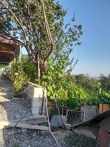 Həyət evi alıram: 200 kv. m, 5 otaqlı — 5