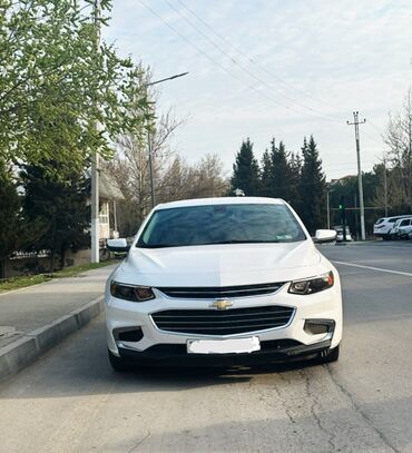 Chevrolet: Chevrolet Malibu: 1.5 l | 2017 il 16200 km Sedan — 9