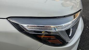 Subaru: Subaru Forester: 2020 г., 2.5 л, Вариатор, Бензин, Кроссовер — 12