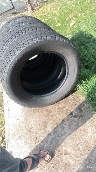 шины бишкек дордой: Шины