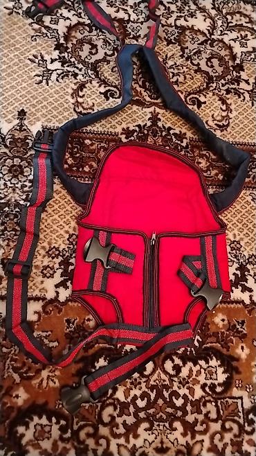 usag bezi: La Moda Kids Club körpə dəsti satılır. Dəstə körpə üçün kenguru — 5