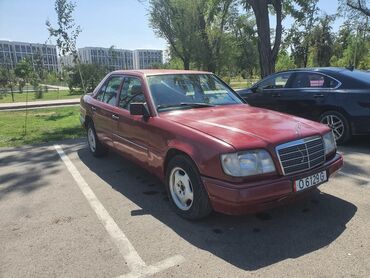 Mercedes-Benz: Mercedes-Benz W124: 1994 г., Автомат, Бензин, Седан — 5