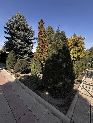 Продажа домов: Дом, 85 м², 3 комнаты, Собственник, Старый ремонт — 11