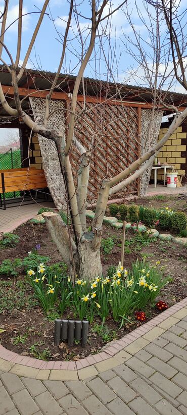 Продажа домов: Дача, 140 м², 5 комнат, Собственник — 7