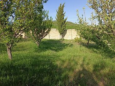 Torpaq sahələrinin satışı: 30 sot, Tikinti, Mülkiyyətçi, Kupça (Çıxarış) — 3