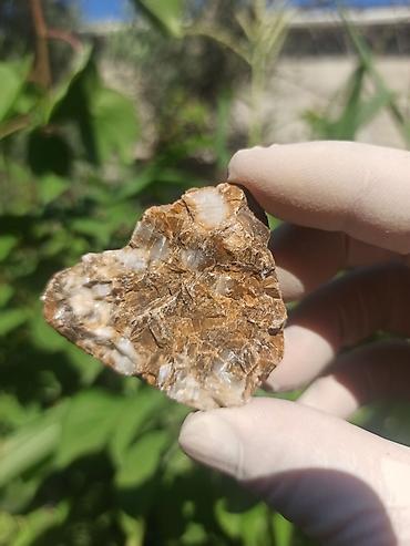 cib saatı: Milyon İllik Tarixi Fosil 💎 Daşlaşmış Ağac ( Petrified Wood ) 🪵 ✨ Bu — 5