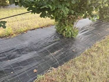 Baštenski alati i oprema: 1,5mx100m- Agrotekstil-Premium-CENA JE SA DOSTAVOM, nemate nikakve — 4
