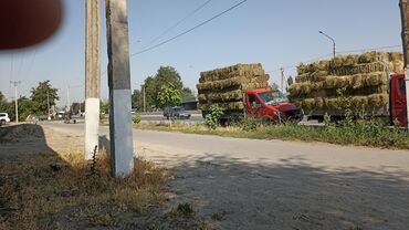 резиновые маты для крс цена в бишкеке: Беде чоп аралаш доставка бар