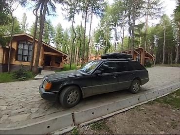 lexus 330 rx 2004: Mercedes-Benz W124: 1993 г., 3.2 л, Механика, Бензин, Универсал — 1