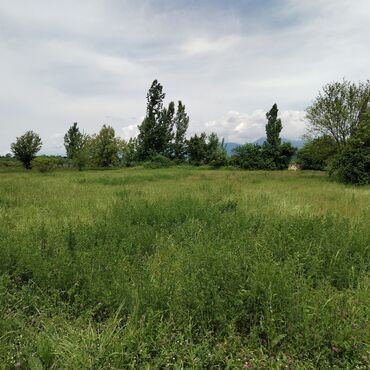 Torpaq sahələrinin satışı: 12 sot, Tikinti, Barter mümkündür, Kupça (Çıxarış)