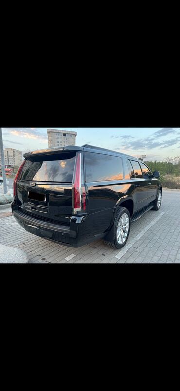 солнцезащитные пленки: Cadillac Escalade: 2019 г., 6.2 л, Автомат, Бензин, Внедорожник