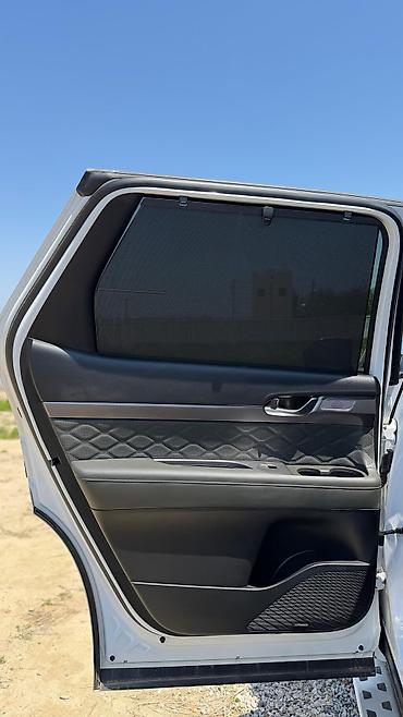 Hyundai: Hyundai Palisade: 2020 г., 2.2 л, Автомат, Дизель — 16