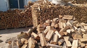 купить печь для бани бу: Дрова Карагач, Бесплатная доставка, Платная доставка