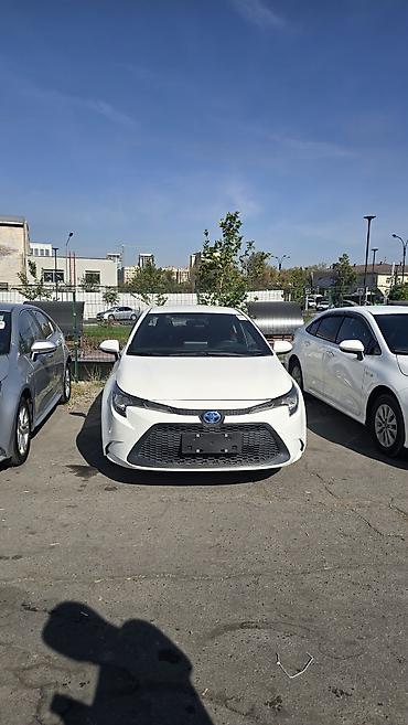 tayota karolla: Toyota Corolla: 2022 г., 1.8 л, Вариатор, Гибрид, Седан — 5