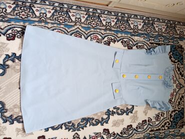 uzun yun donlar: Gündəlik don, Mini, Massimo Dutti, S (EU 36)