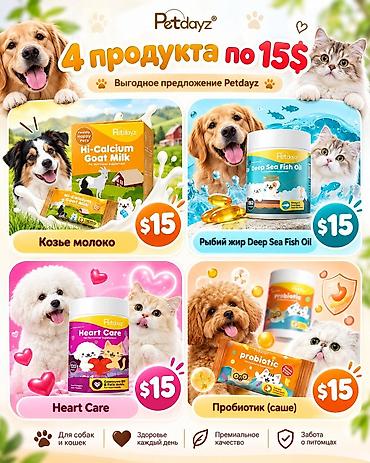 Үй жаныбарлары: Petdayz — набор функциональных добавок для собак и кошек В линейке 4 — 1