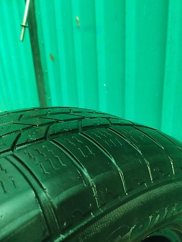 Шины: Шины — 2