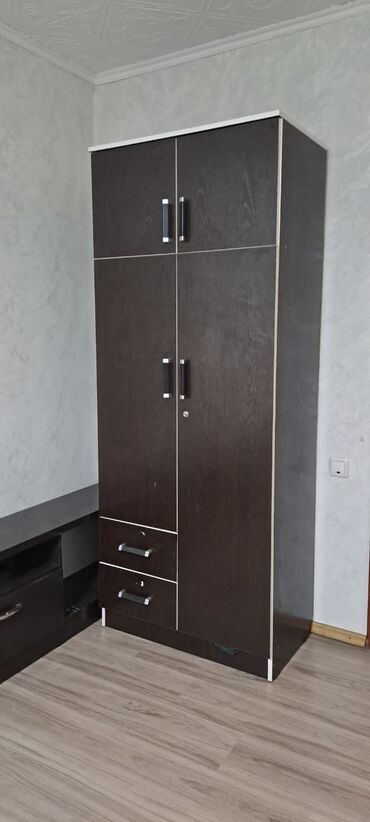 купить маленький шкаф для одежды: Кийим салуучу шкаф, Колдонулган, Түз, Жыгач