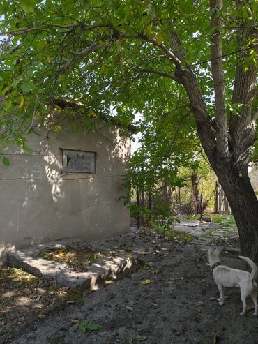 дом раздольный: Дом, 81 м², 5 комнат