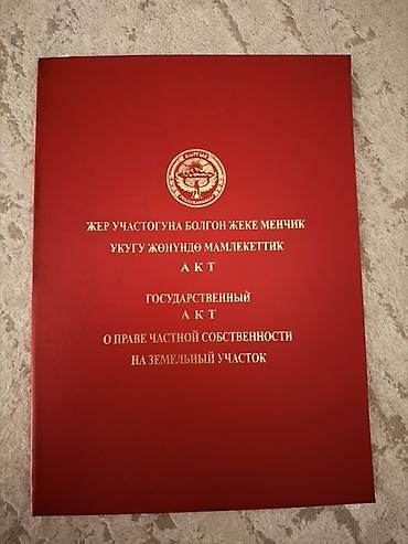 кырк кыз гагарина: 6 соток, Для бизнеса, Красная книга — 2