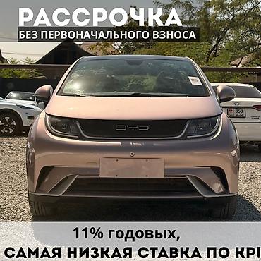 в рассрочка: BYD Dolphin: 2022 г., 0.1 л, Автомат, Электромобиль, Хэтчбэк — 1