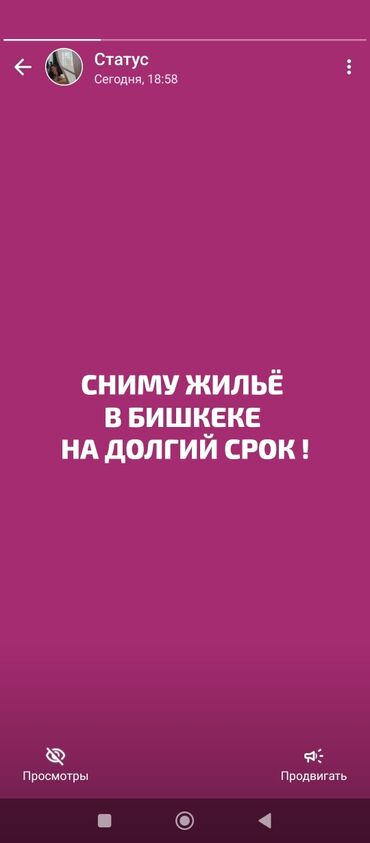 квартира бизнес: 1 бөлмө, Менчик ээси, Чогуу жашоосу жок