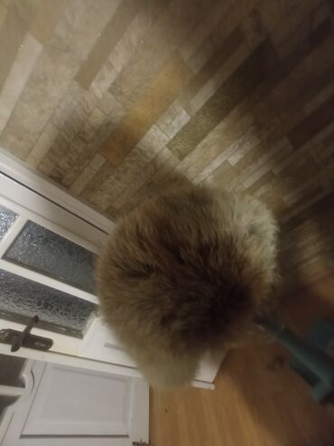 Шапки: Шапка, Ушанка, Натуральная кожа, Зима, С помпоном — 3